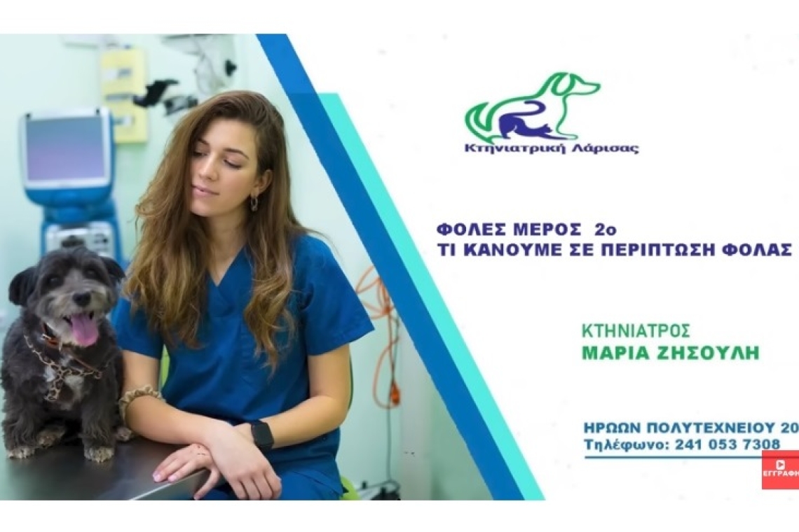 Φόλες σε σκυλιά και γάτες - Τι κάνουμε σε περίπτωση φόλας