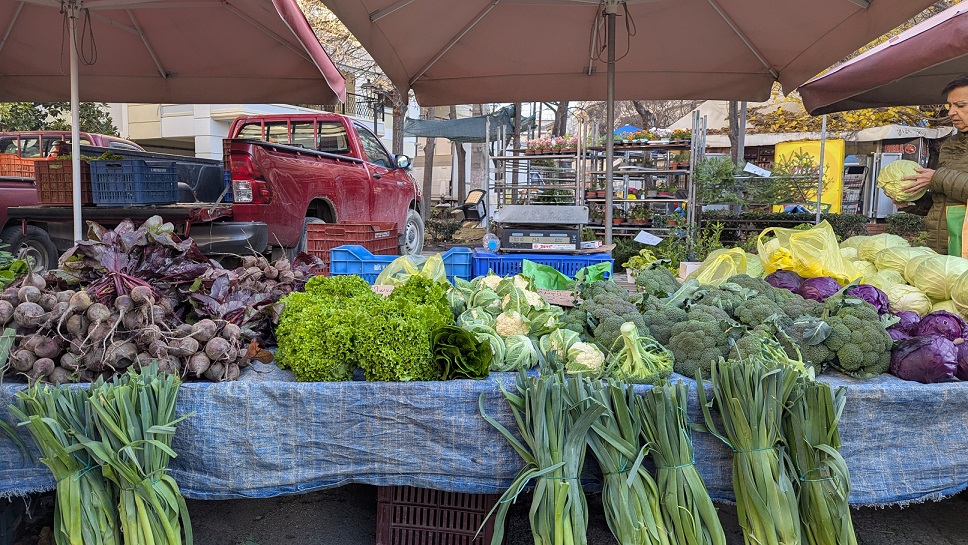 Δήμος Λαρισαίων: Δεν θα πραγματοποιηθούν οι λαϊκές αγορές τα Θεοφάνια