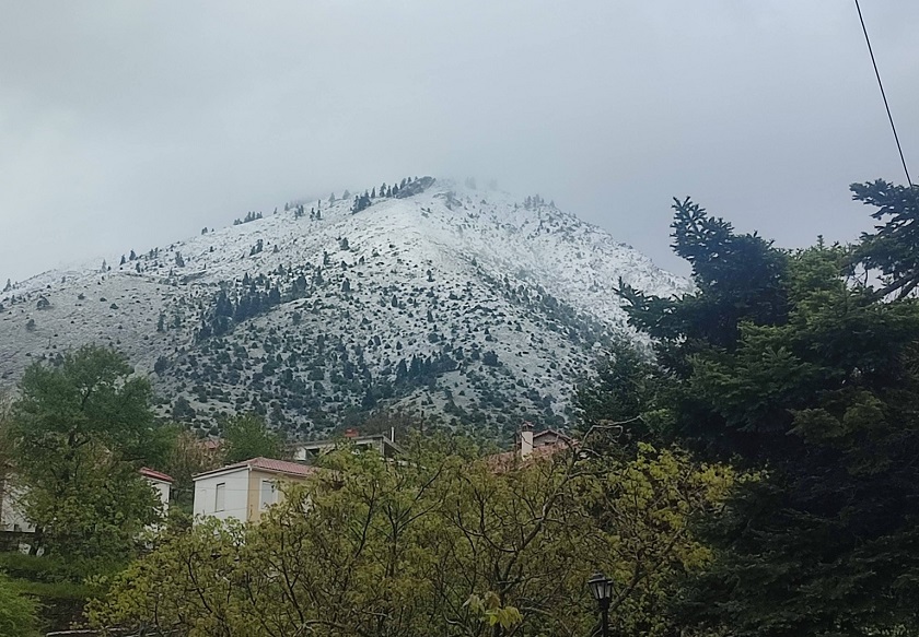 Νέα χιονόπτωση στον Κίσσαβο με το χιόνι να φτάνει στις παρυφές της Σπηλιάς