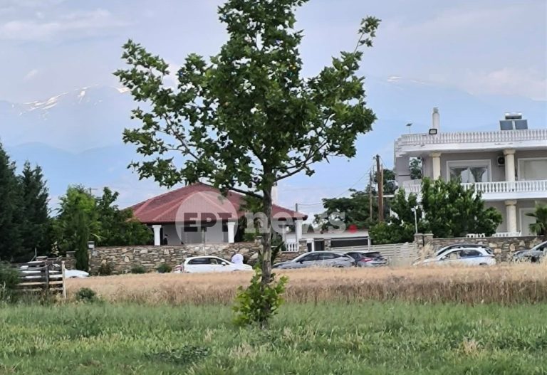 Επιχείρηση της ΔΑΟΕ στη Λάρισα: Μία σύλληψη στη Γιάννουλη για το κύκλωμα με τις «χρυσές» λίρες